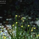 해도한정식 이미지