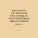물맷돌 이미지