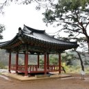 산막천 이미지