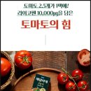매일야채 | 매일야채 고농축 토마토의 힘 내돈내산 후기