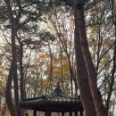 광덕산3로 | 천안 광덕산 (24번째 블랙야크 100대 명산) 산행 후기