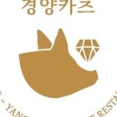 국민카츠 이미지