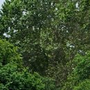 수명민박 이미지