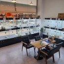 드림독 강아지분양 안심분양센터 인천점 이미지