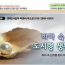 도시속바다 이미지