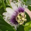 손불농장 이미지