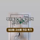 산양삼은 왜 졸음을 유도할까? 교감신경 억제와 수면 유도 사이의 생리적 연결고리. ‘자는 것’과...