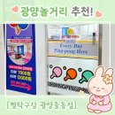 짱탁구광양 | 놀고 싶을 땐? 광양놀거리로 딱 좋은 짱탁구장 광양중동점! 로봇탁구부터 음료 내기까지 완벽 후기
