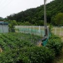 열목어마을 이미지