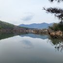 농업회사법인(주) 다원정 관광농원 이미지