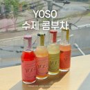 전 요즘 탄산음료 대신 이거 마셔요! 디자인까지 예쁜 요소콤부차 4종 집들이선물 추천
