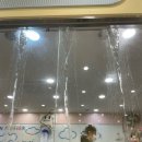 몽실멍실 이미지