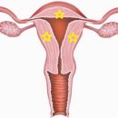 배원식한의원 이미지