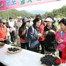 설천면 생활체육공원 이미지
