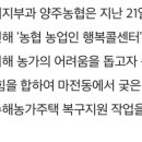 양주 농협 침수피해 농가 지원 이미지