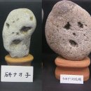 사람박물관 얼굴 이미지