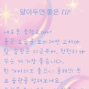 리아잉글리시아이학원