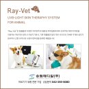 나아라 동물병원 | 🐾 나아라동물병원에서 만난 레이벳, 우리 아이 피부질환 해결사!
