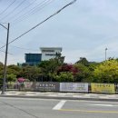 나능이능이버섯백숙홍천점 이미지