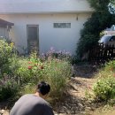 오마이김밥 | 👼🏻:: 제주도 태교여행 (2) | 재미제주 | 성이시돌목장 | 풀베개 | 오마이살롱