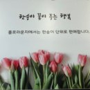써니플로 이미지