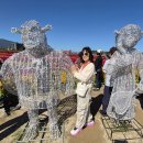 고석정 꽃밭축제 (A) - 강원철원 이미지