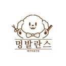 멍발란스 이미지