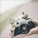 와바와바 이미지