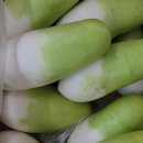 (주)연세의료기 이미지