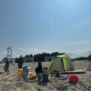 비치화이트애견펜션 이미지