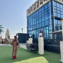 부티크더독스 | {평택} 야외 애견동반 가능하고 식물이 가득했던 이국적인 느낌의 텐독스 카페 방문