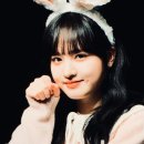 더리즈 이미지