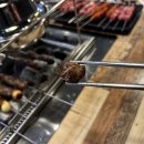 미란양꼬치