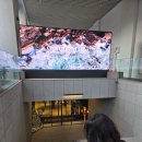 이공숯불구이 | 잉크 셀프 만삭촬영 후기 / 아크앤북 광안리점 주차 비용 / 광안리 숯불생선구이 이공이 솔직 후기