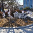 성주군청 이미지