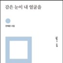 안태운 시집『감은 눈이 내 얼굴을』(민음사, 2016) 이미지