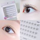 10 | 올리오 노글루 속눈썹 클리어 10mm 내돈내산 후기! 붙이는법 어려울까?