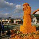 서귀포감귤박물관 이미지