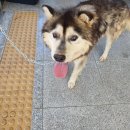 예강1길-1 이미지