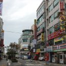 쩡글 | [펫샵 방문 후기] 경기도 부천시 &#34;쩡글&#34;