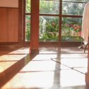 멍뭉이애견샵 이미지