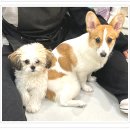 아이조아 요양보호소 서울점 이미지