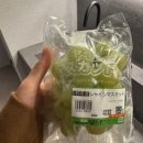 샤인목욕탕 이미지