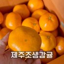 맛이만나 | 제주 조생 감귤 1.5kg 후기 brix 15 달콤한 맛이 인상적