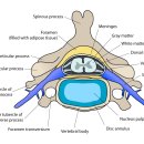아침빛한의원 이미지