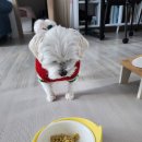 매일방앗간 이미지