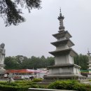 율원1천 이미지