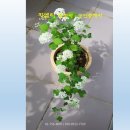 지엘티법률세무회계사무소
