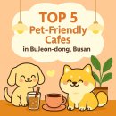 부산애견 이미지