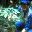 삼칠농장 이미지